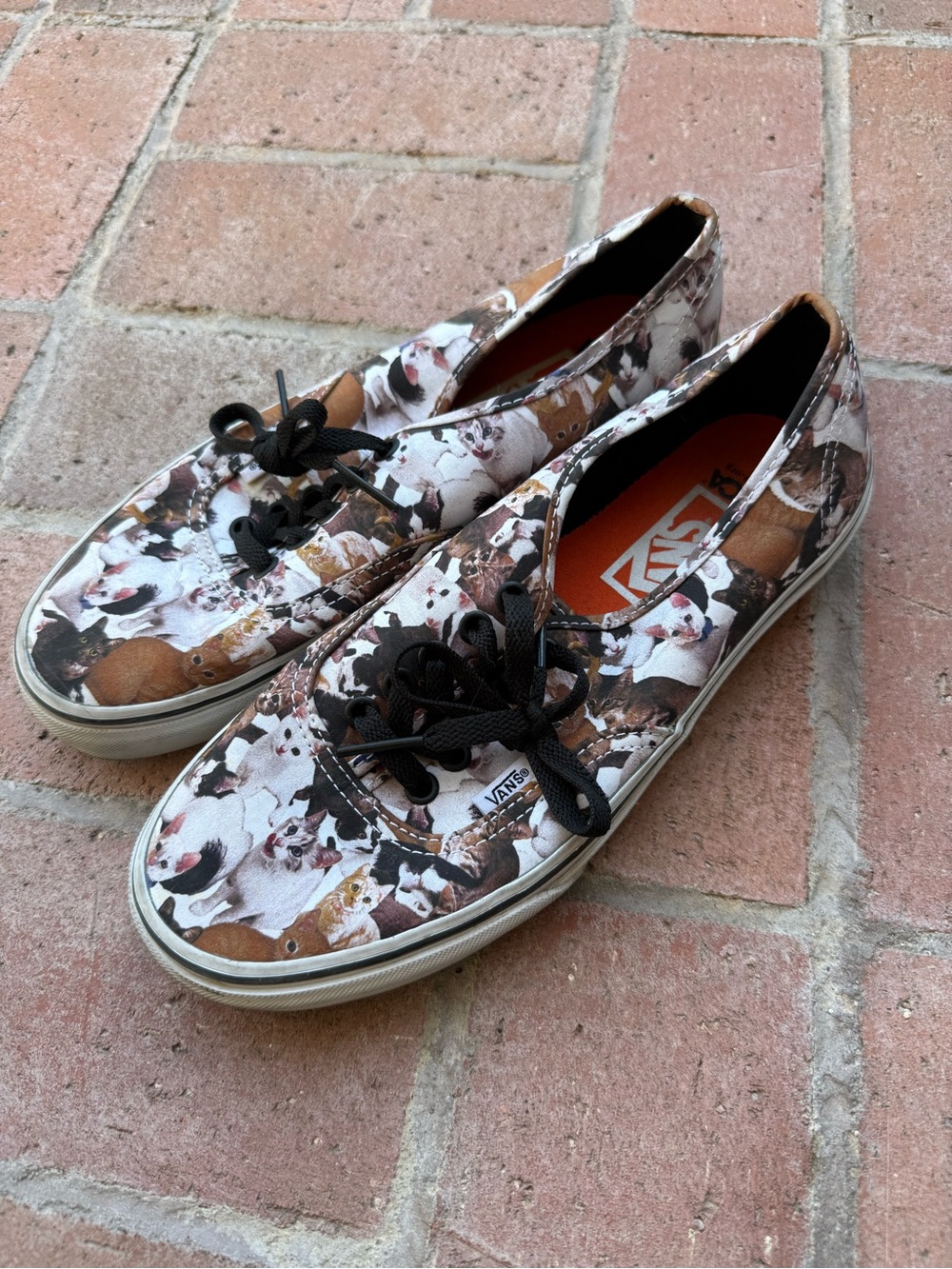 Vans Multicolor Canvas Sneakers with Cat Print